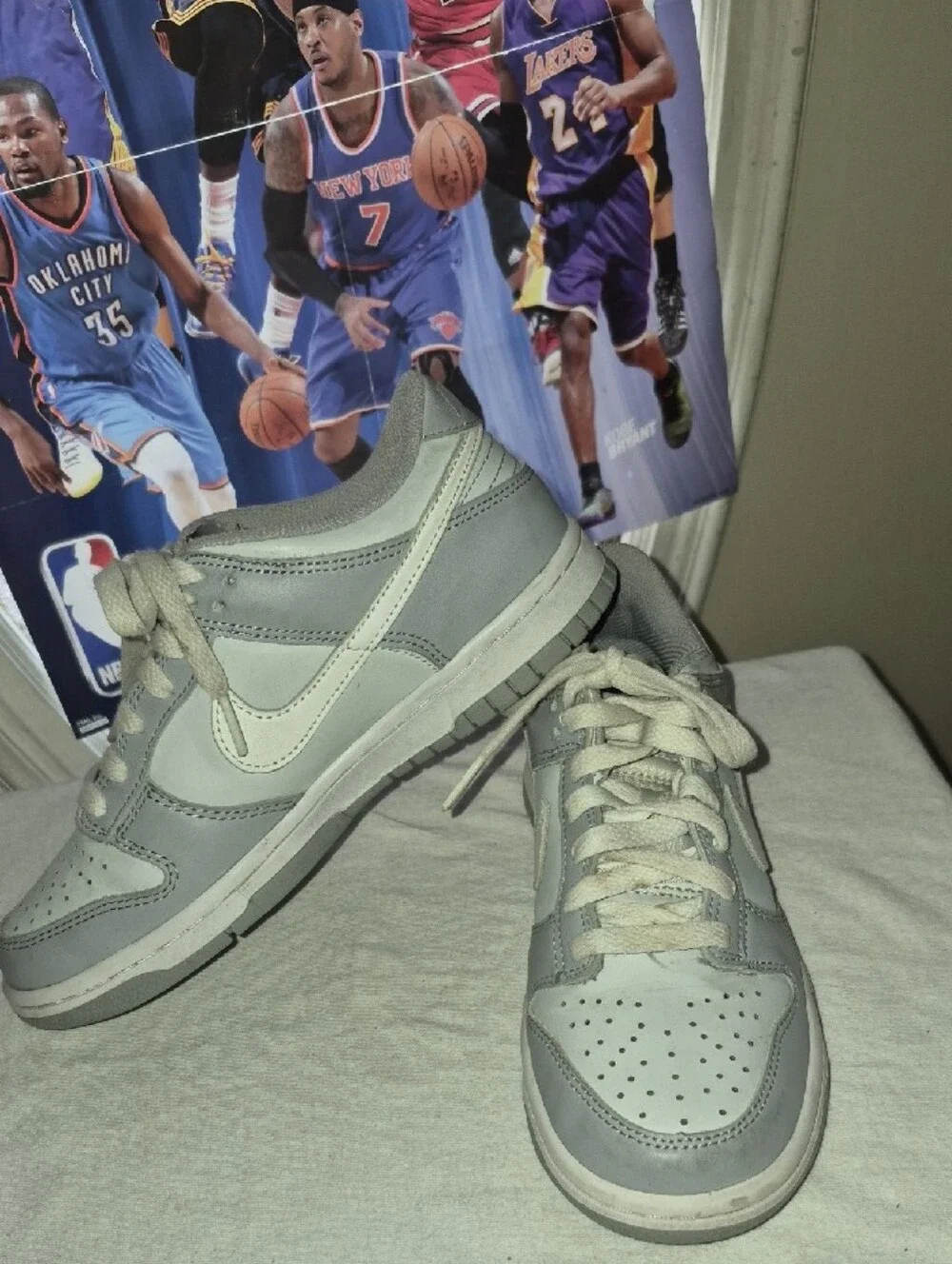 Nike Dunk Low Pure Platinum/Wolf Grey (Low Top Sneakers)